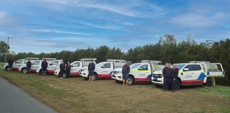 How to Choose the Best Pest Control Company