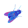 Flies & Mosquitoes