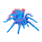 Spiders