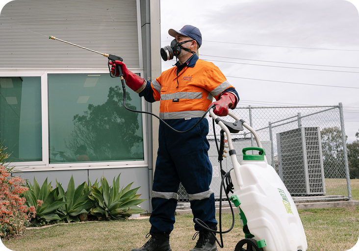 Pest management technician: