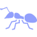 Ants