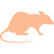 Rodents