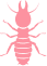 Termites