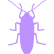 Cockroaches