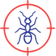 Ants