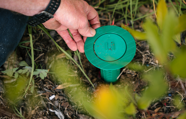 Why Pest Control Is Important (for Homes and Businesses)