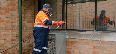 Start-to-Finish Pest Control Services in Singleton and Hunter Valley
