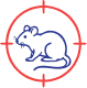 Rodents
