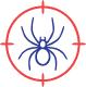 Spiders