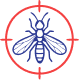 Termites